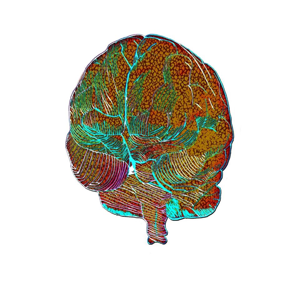 Inside The Mind