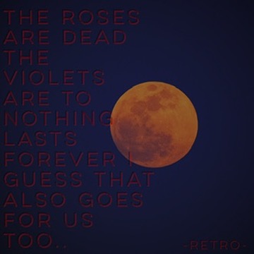 The Roses Are Dead